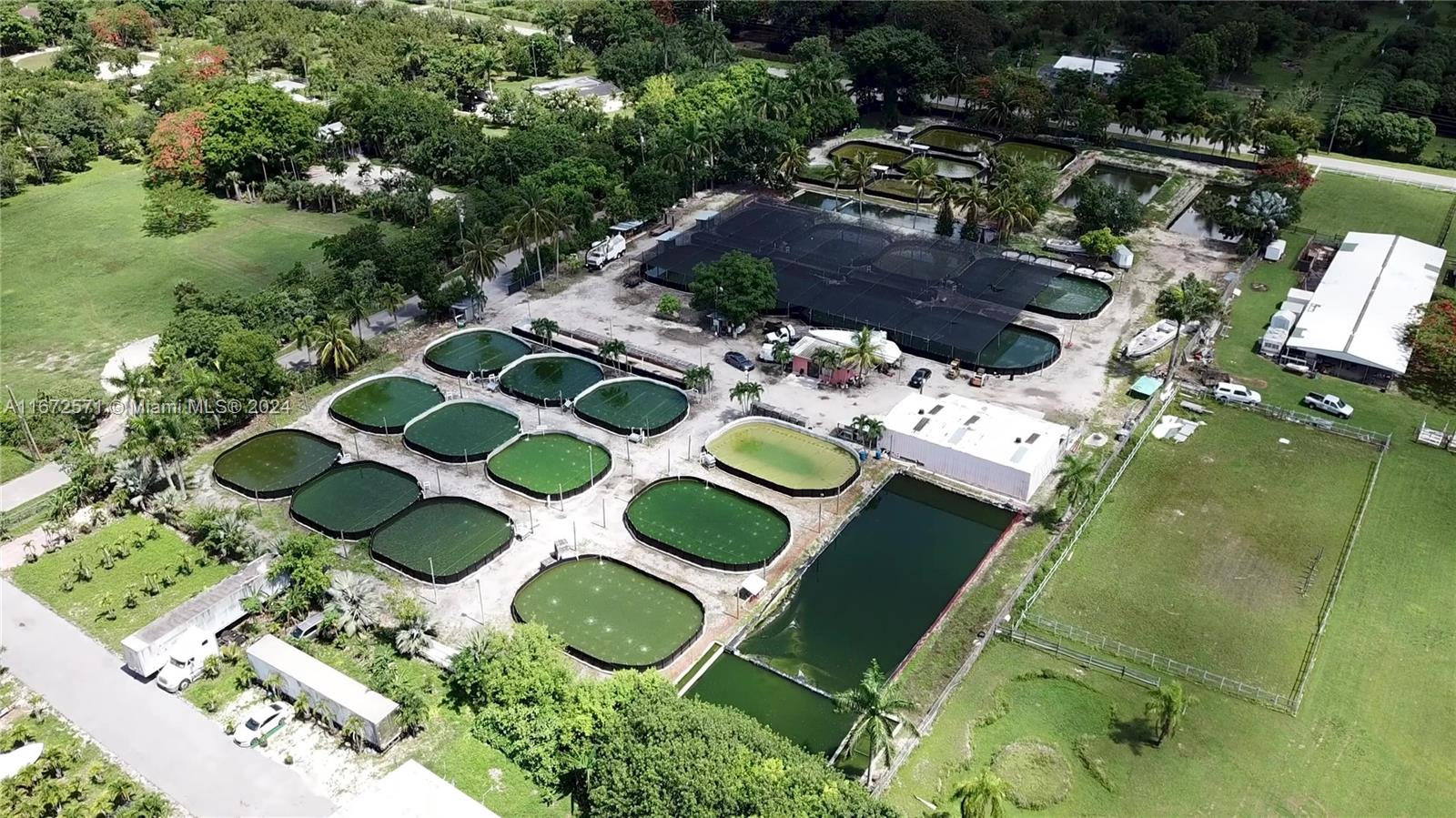 Established Aquaculture Business with Significant Real Estate