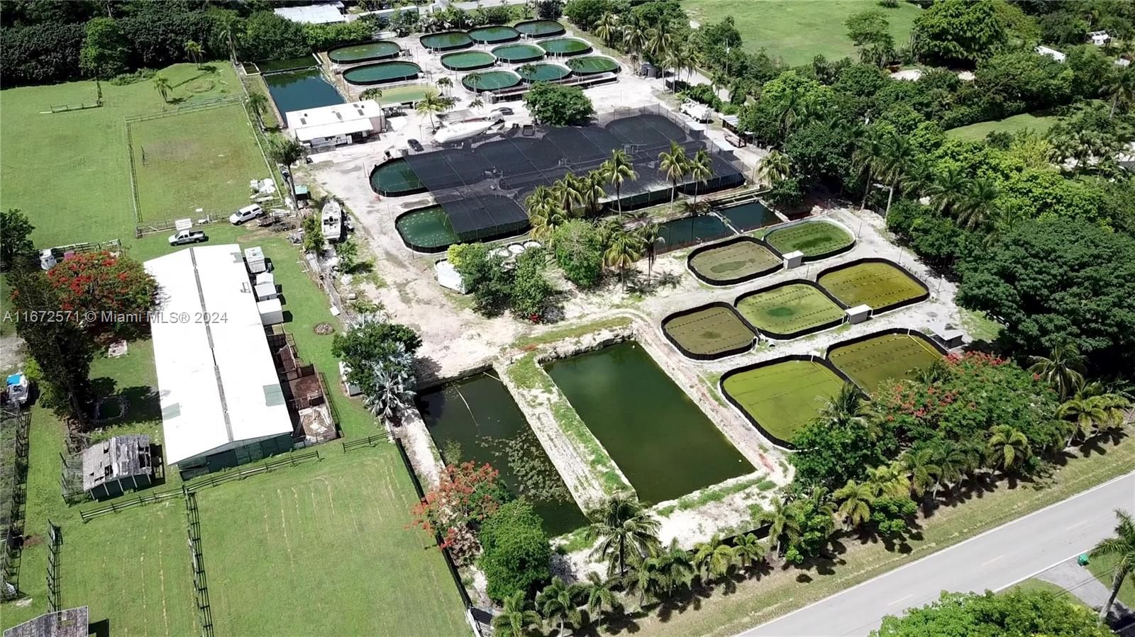 Established Aquaculture Business with Significant Real Estate