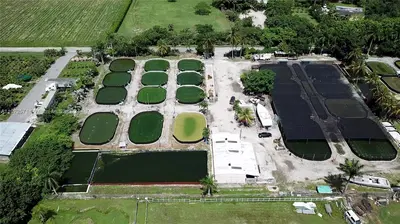 Established Aquaculture Business with Significant Real Estate