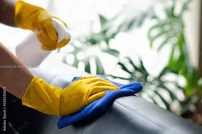 Established Cleaning Service with Loyal Clientele