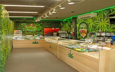Profitable Cannabis Retailer with Prime Tourist Location
