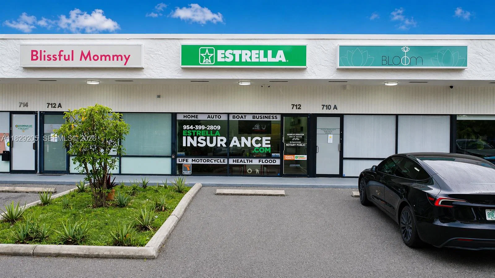 Profitable Insurance Agency with Strong Brand Recognition