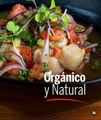 Thriving Organic Seafood Chain with Strong Market Presence