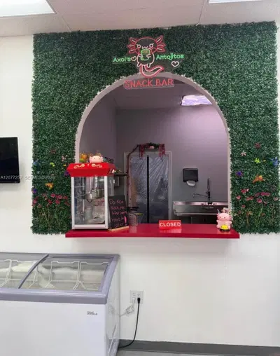 Complete Candy Store Assets with Loyal Clientele