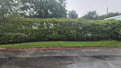 Established Tailoring Boutique with Subleased Shoe Repair Area