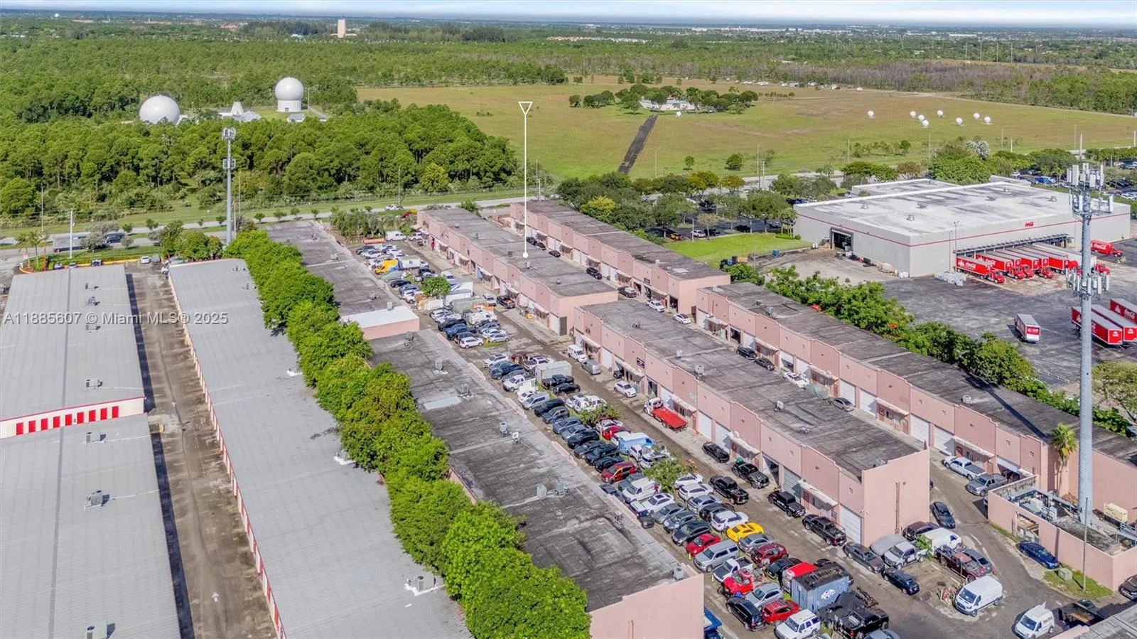 Niche Auto Detailing  Customization Studio with Strong Online Presence