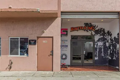 Niche Auto Detailing  Customization Studio with Strong Online Presence