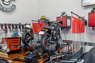 Niche Auto Detailing  Customization Studio with Strong Online Presence