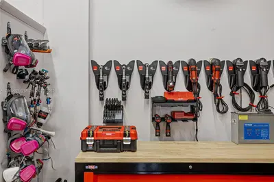 Niche Auto Detailing  Customization Studio with Strong Online Presence