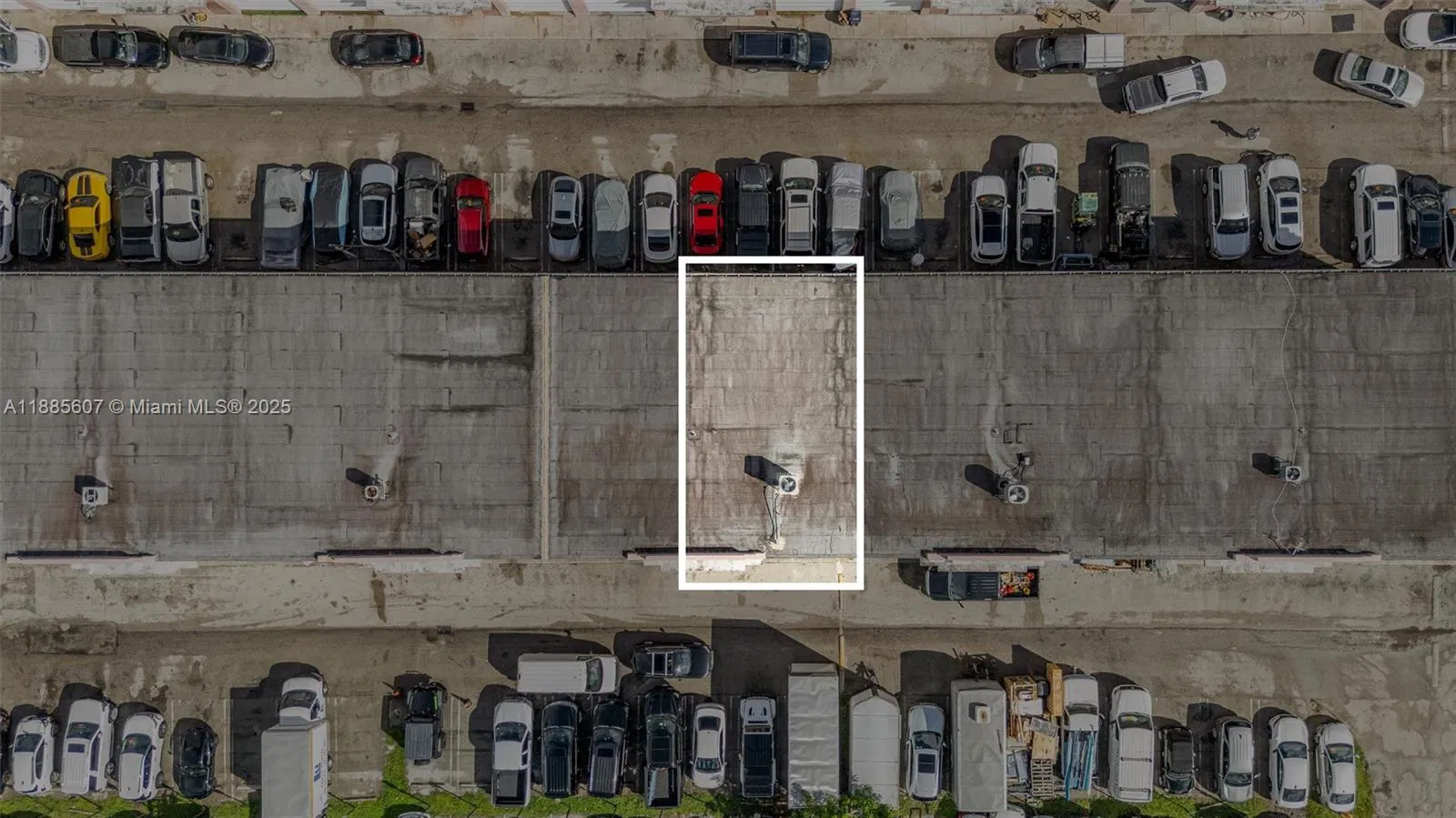 Niche Auto Detailing  Customization Studio with Strong Online Presence