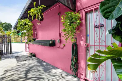 Complete Outdoor Culinary Venue Asset Collection