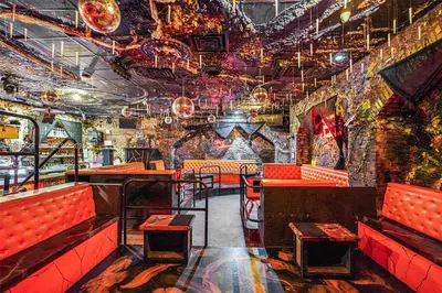 Premier Nightlife Venue with Iconic Brand Recognition