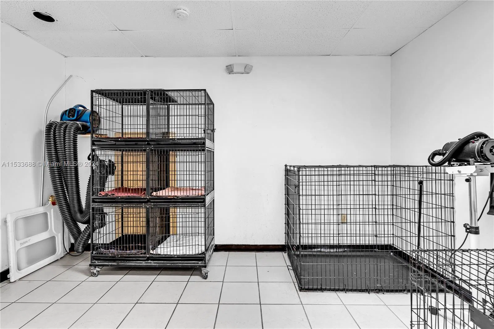 Thriving Pet Grooming Business with Expansion Potential