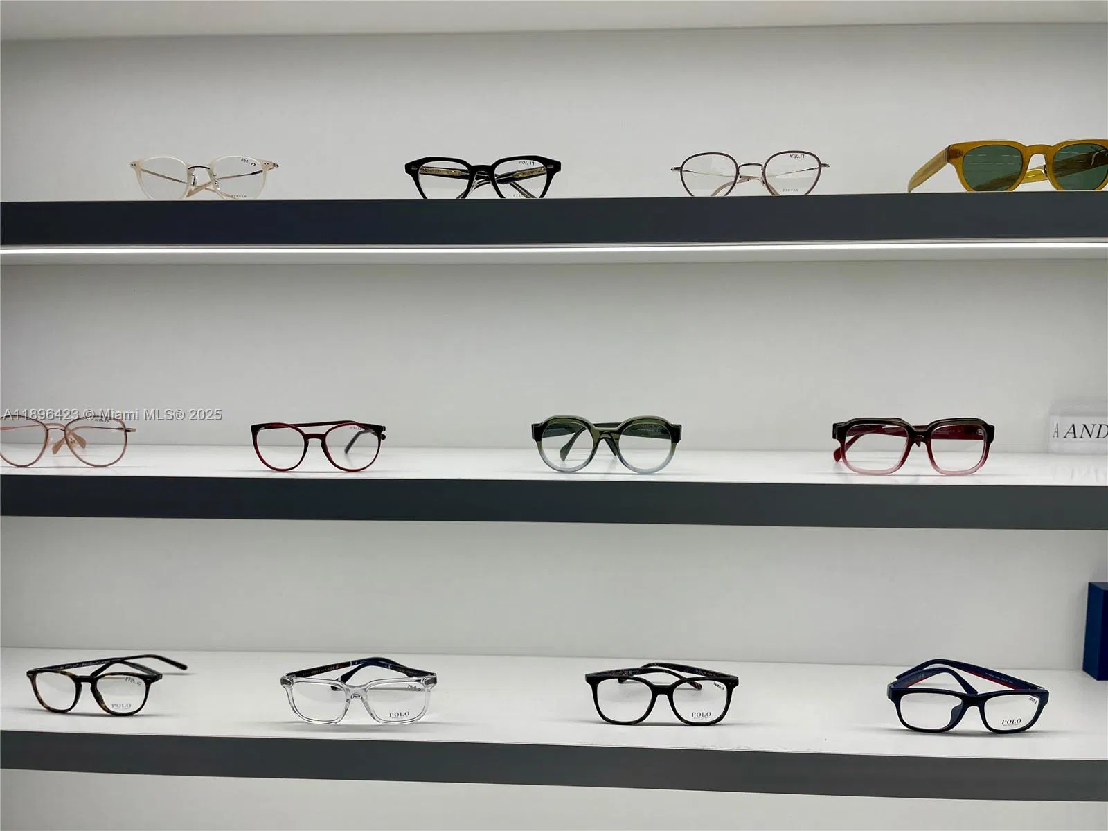 Boutique Optical Shop with Luxury Eyewear