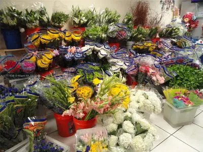 Turnkey Flower Shop with Excellent Visibility