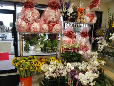 Turnkey Flower Shop with Excellent Visibility