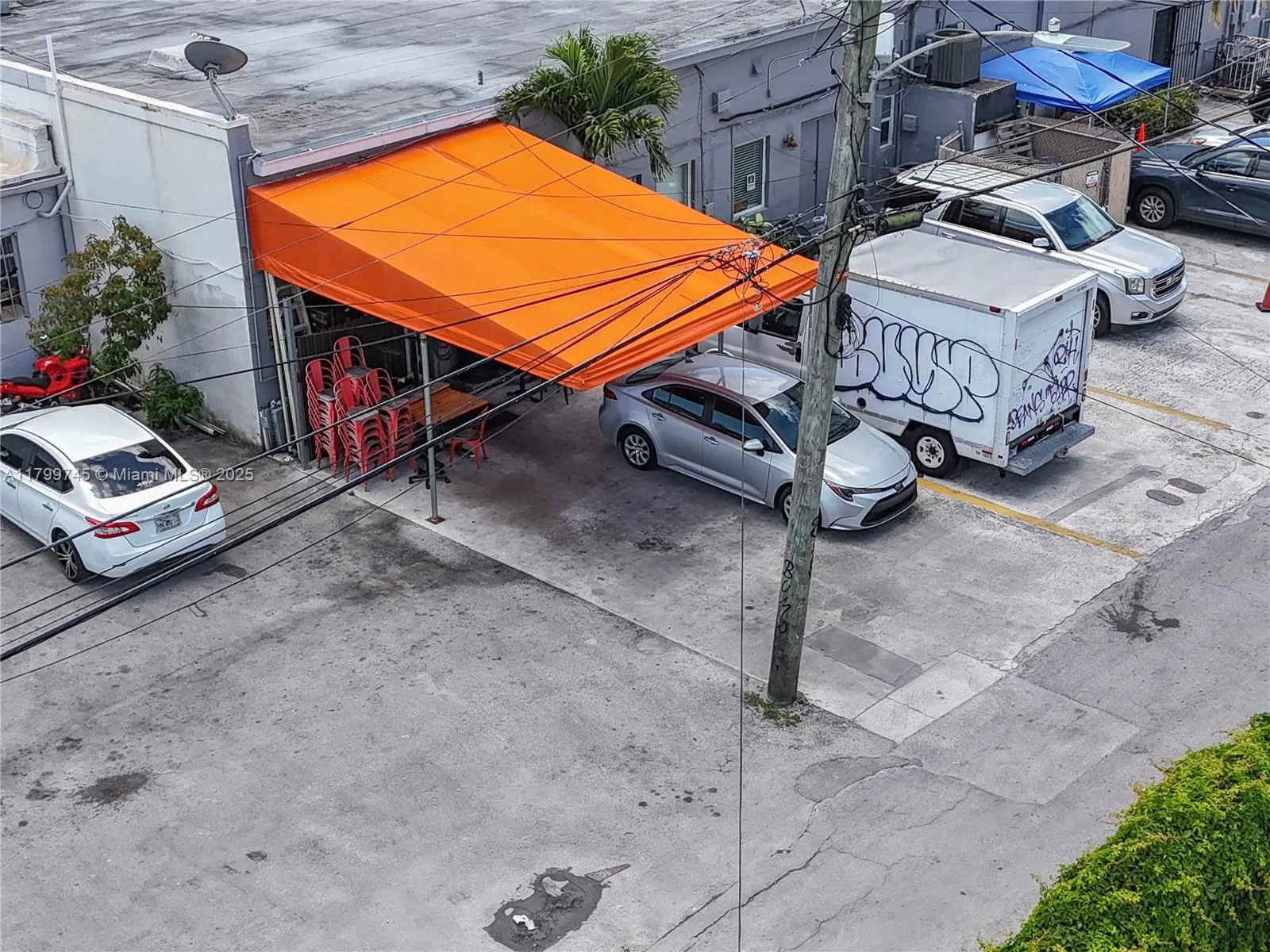 Profitable Pizza Restaurant with Loyal Customer Base