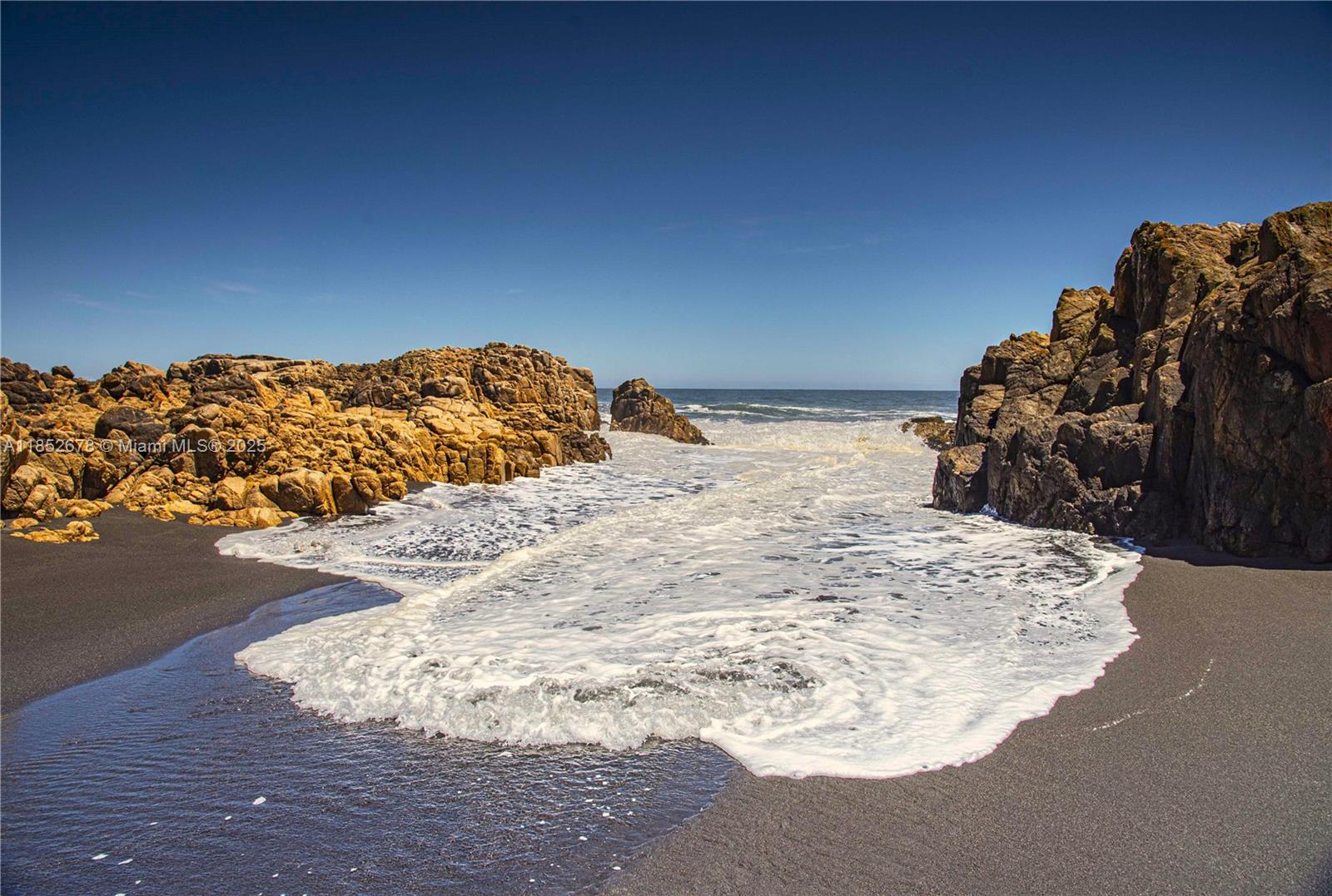 Premier Oceanfront Boutique Hotel with Turnkey Operations