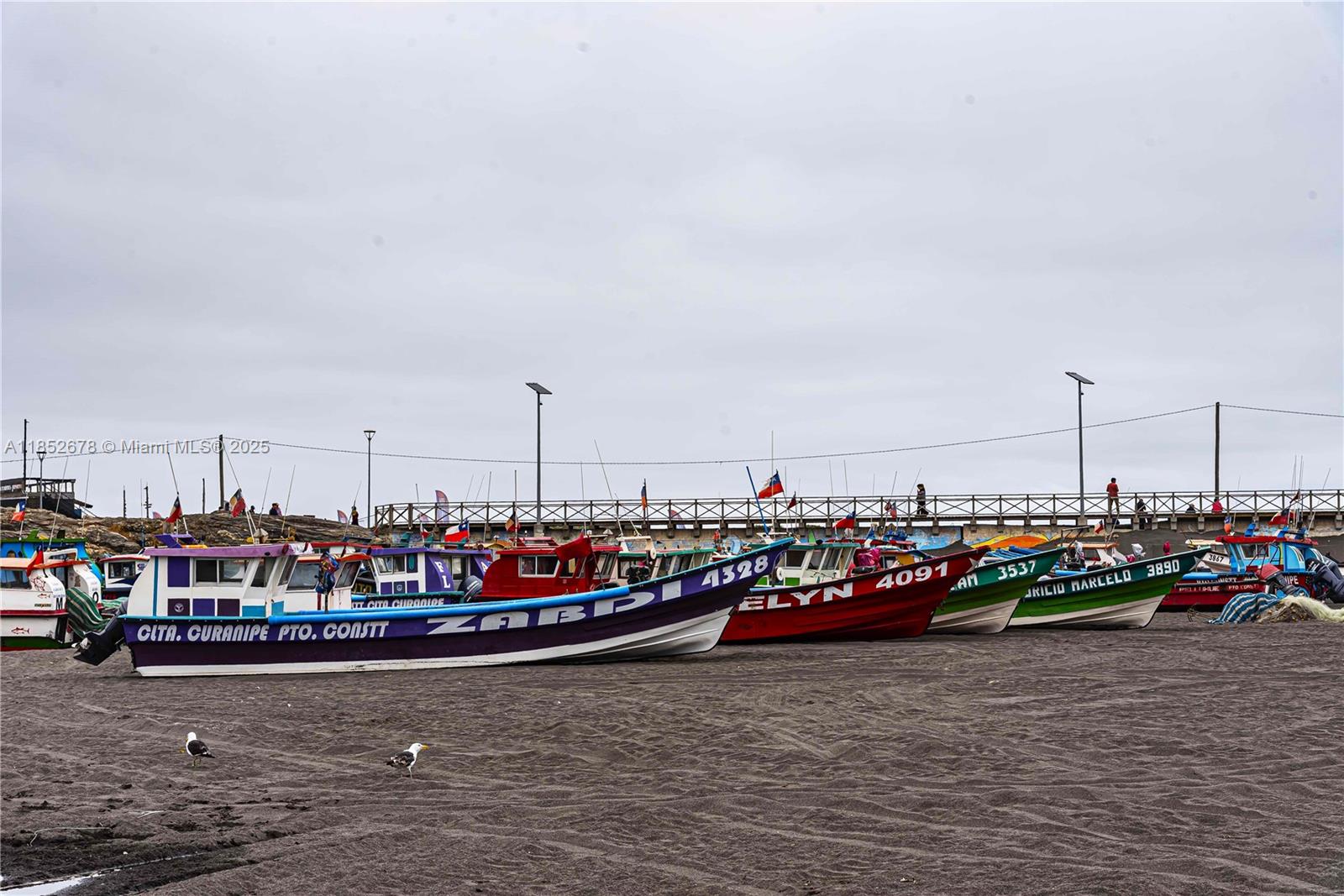 Premier Oceanfront Boutique Hotel with Turnkey Operations