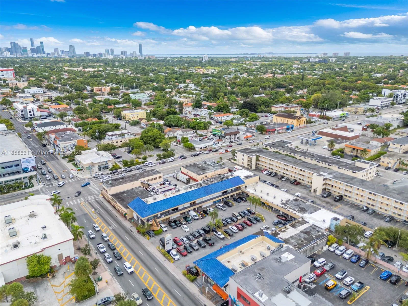 Established Dominican Restaurant with Strong Community Ties