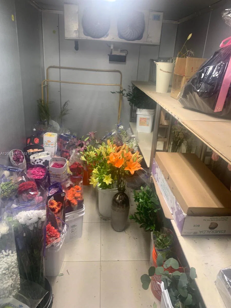 Complete Flower Shop Assets with Existing Business Goodwill