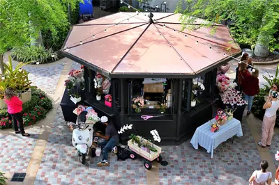 Established Flower Shop with Turnkey Operations