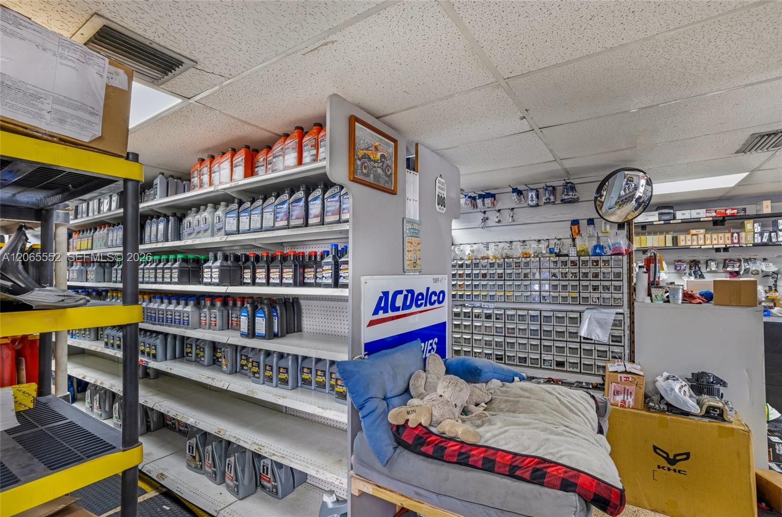 Established Automotive Repair Center with Dealer License