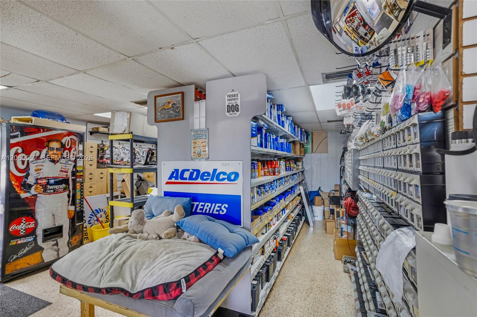 Established Automotive Repair Center with Dealer License
