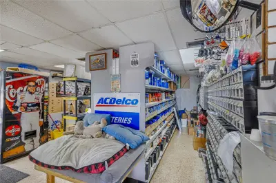 Established Automotive Repair Center with Dealer License