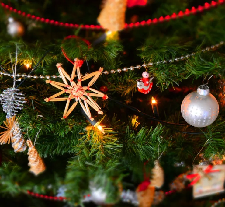 Established Seasonal Retailer with Strong E commerce Platform