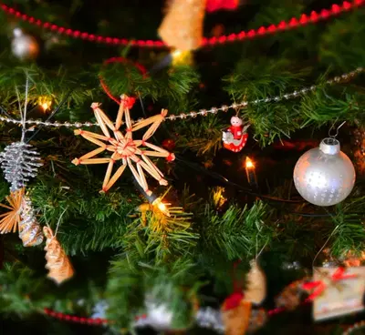 Established Seasonal Retailer with Strong E commerce Platform