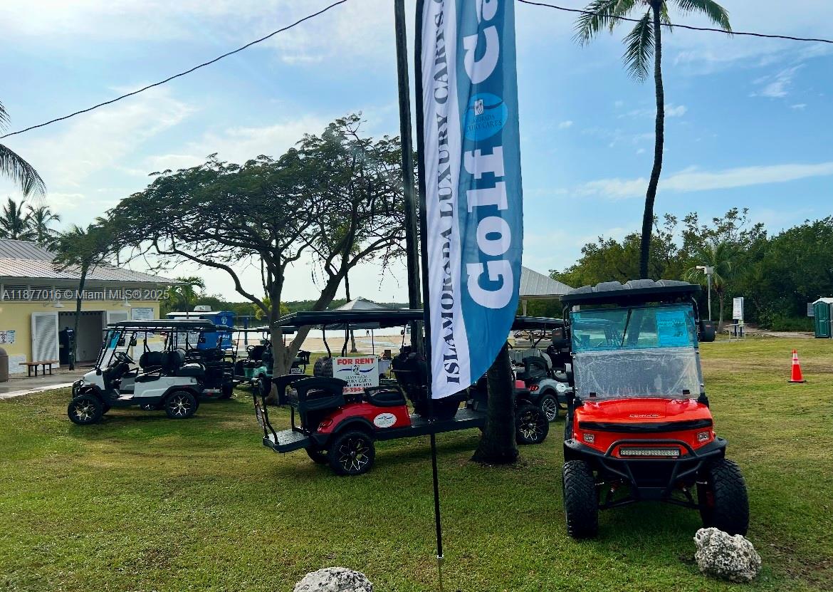 Niche Golf Cart Rental Business with Strong Brand Loyalty