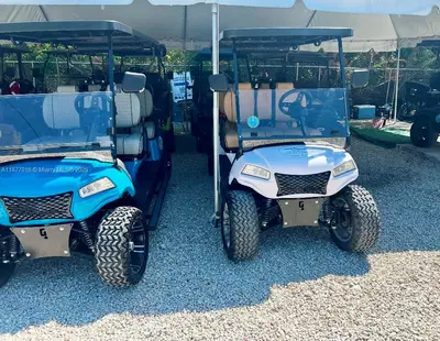 Niche Golf Cart Rental Business with Strong Brand Loyalty