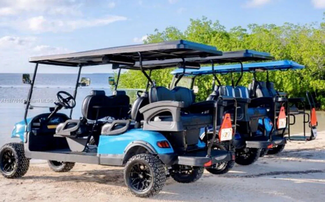 Niche Golf Cart Rental Business with Strong Brand Loyalty