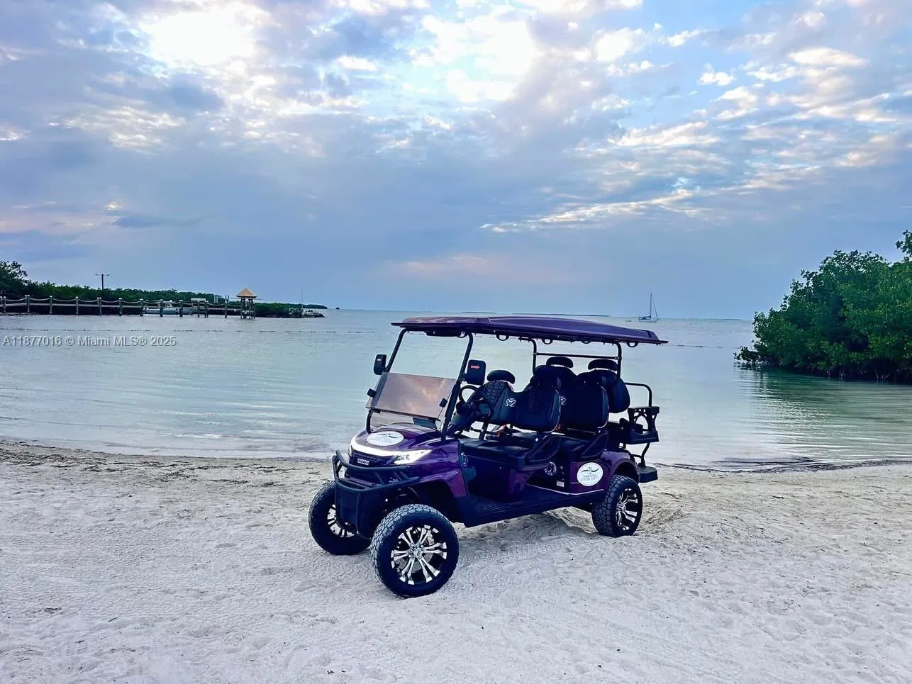 Niche Golf Cart Rental Business with Strong Brand Loyalty