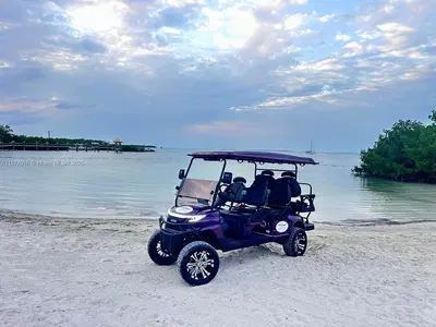 Niche Golf Cart Rental Business with Strong Brand Loyalty