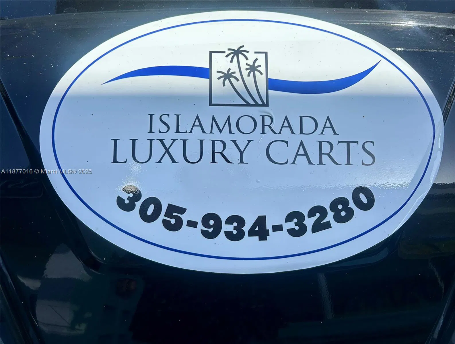 Niche Golf Cart Rental Business with Strong Brand Loyalty