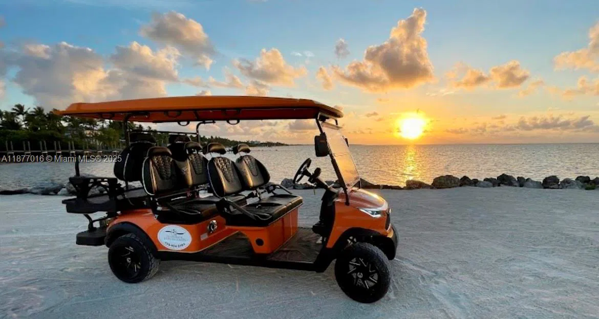Niche Golf Cart Rental Business with Strong Brand Loyalty
