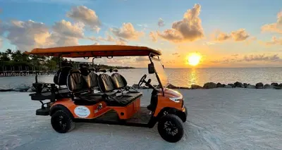 Niche Golf Cart Rental Business with Strong Brand Loyalty