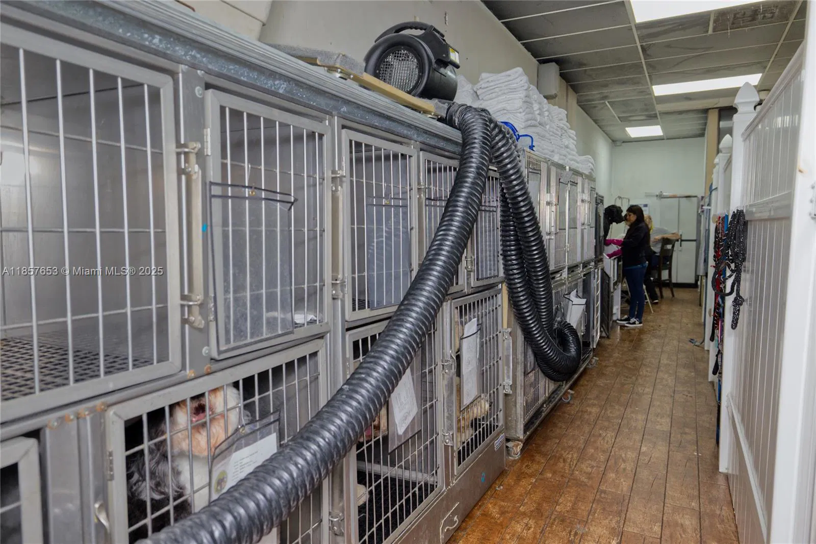 Award Winning Pet Services Business with Loyal Clientele