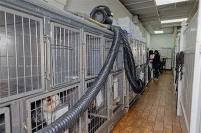 Award Winning Pet Services Business with Loyal Clientele