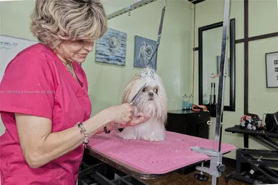 Award Winning Pet Services Business with Loyal Clientele