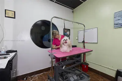 Award Winning Pet Services Business with Loyal Clientele