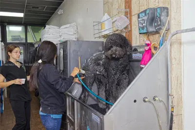 Award Winning Pet Services Business with Loyal Clientele