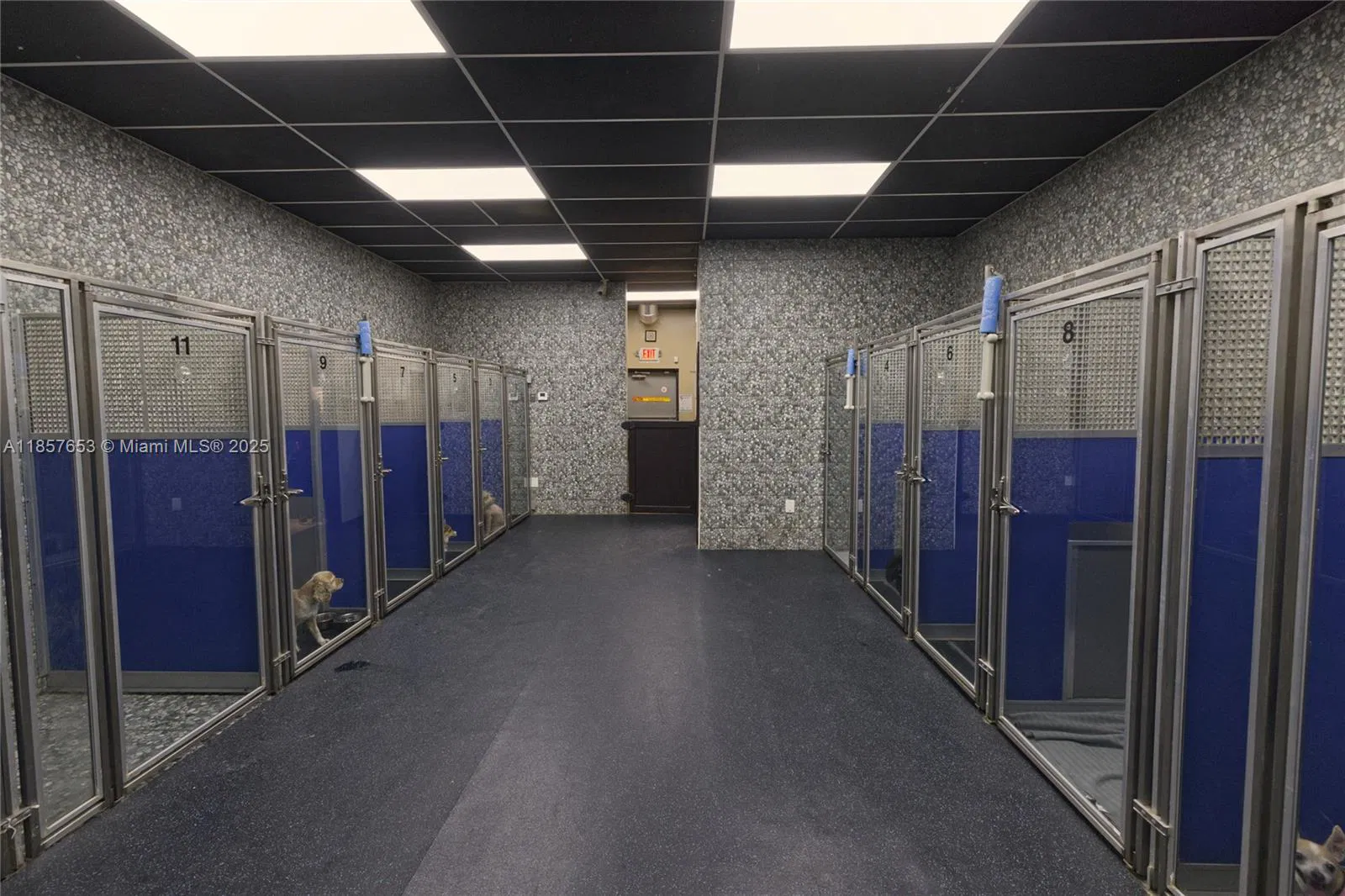 Award Winning Pet Services Business with Loyal Clientele