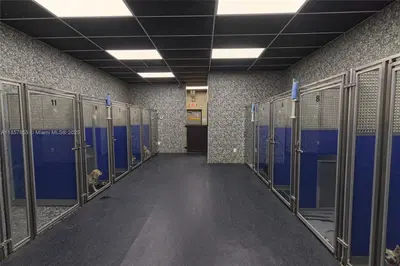 Award Winning Pet Services Business with Loyal Clientele