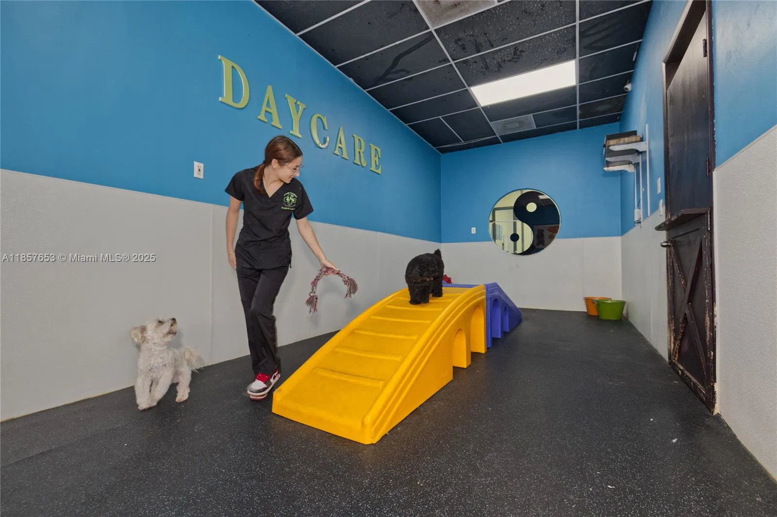 Award Winning Pet Services Business with Loyal Clientele