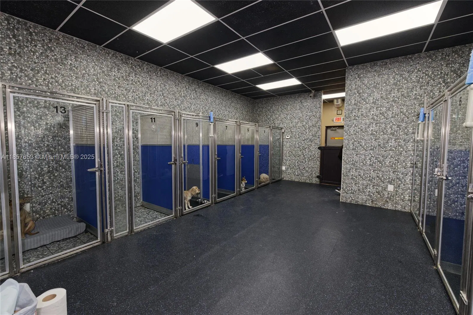 Award Winning Pet Services Business with Loyal Clientele