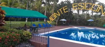 Premier Hotel with Grandfathered Casino License
