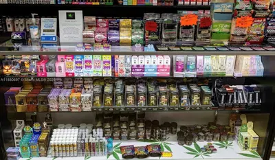 Profitable Smoke Shop with Strong Foot Traffic